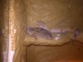 WP_20160713_003.jpg